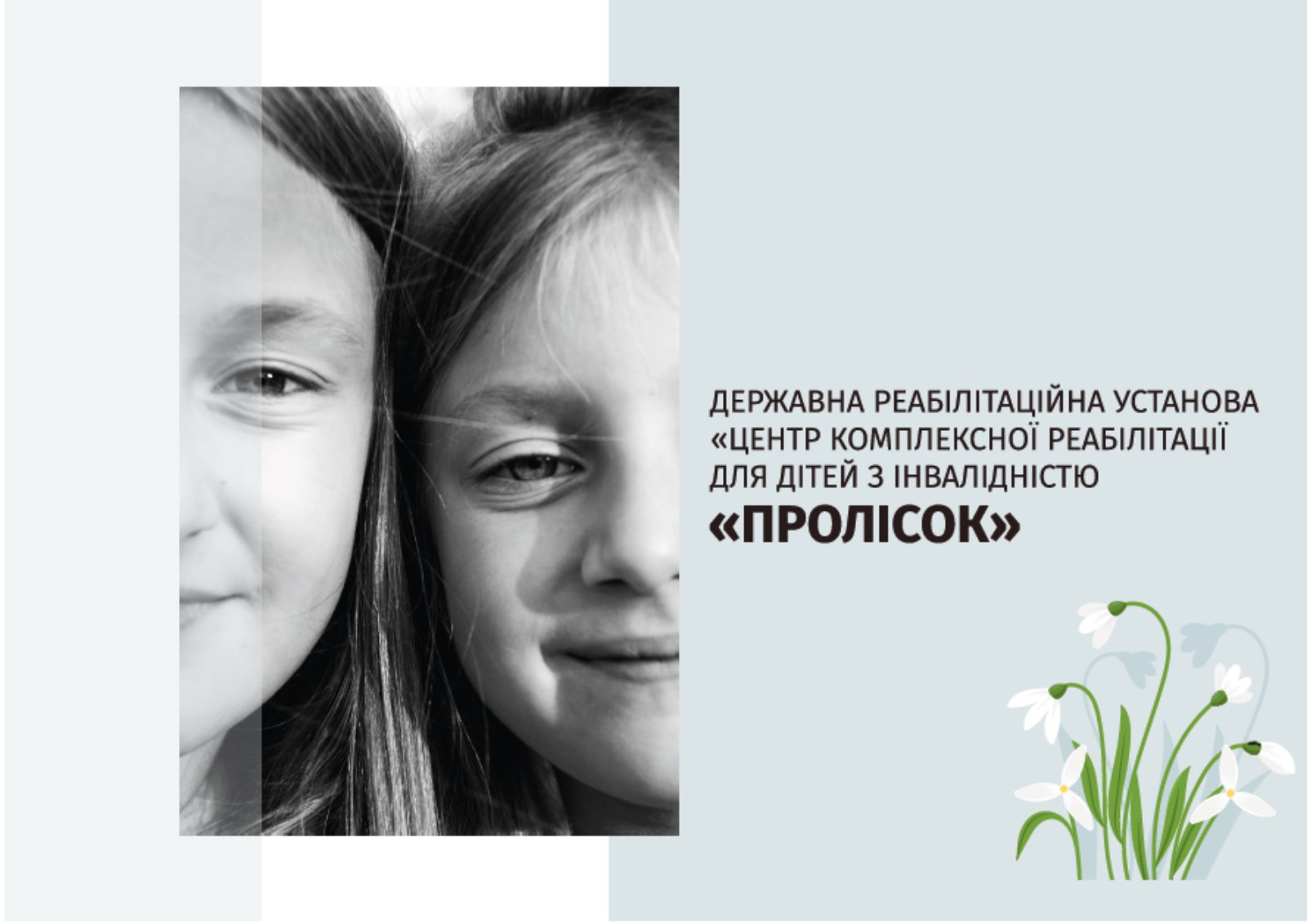 дру пролісок презентація (1)