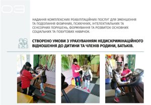 дру пролісок презентація (4)